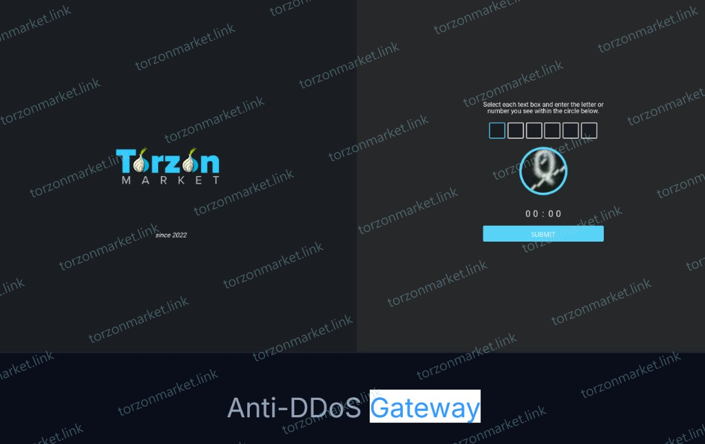Torzon Anti-DDoS gateway captcha in Tor Browser