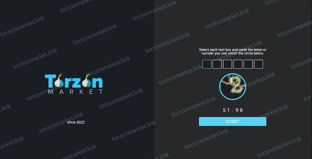 Torzon split-screen captcha gate before login